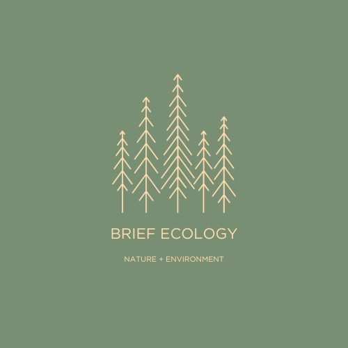 Brief Ecology