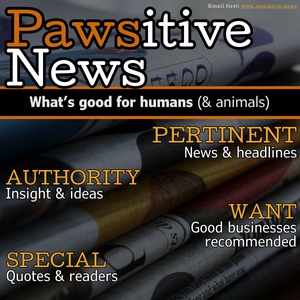 Pawsitive News